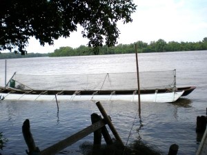 เรือผีหลอก | Thai Boat Club