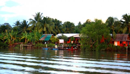 ล่องแม่กลองท่องอัมพวา | Thai Boat Club