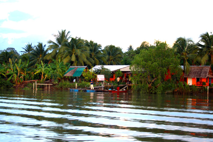 ล่องแม่กลองท่องอัมพวา | Thai Boat Club